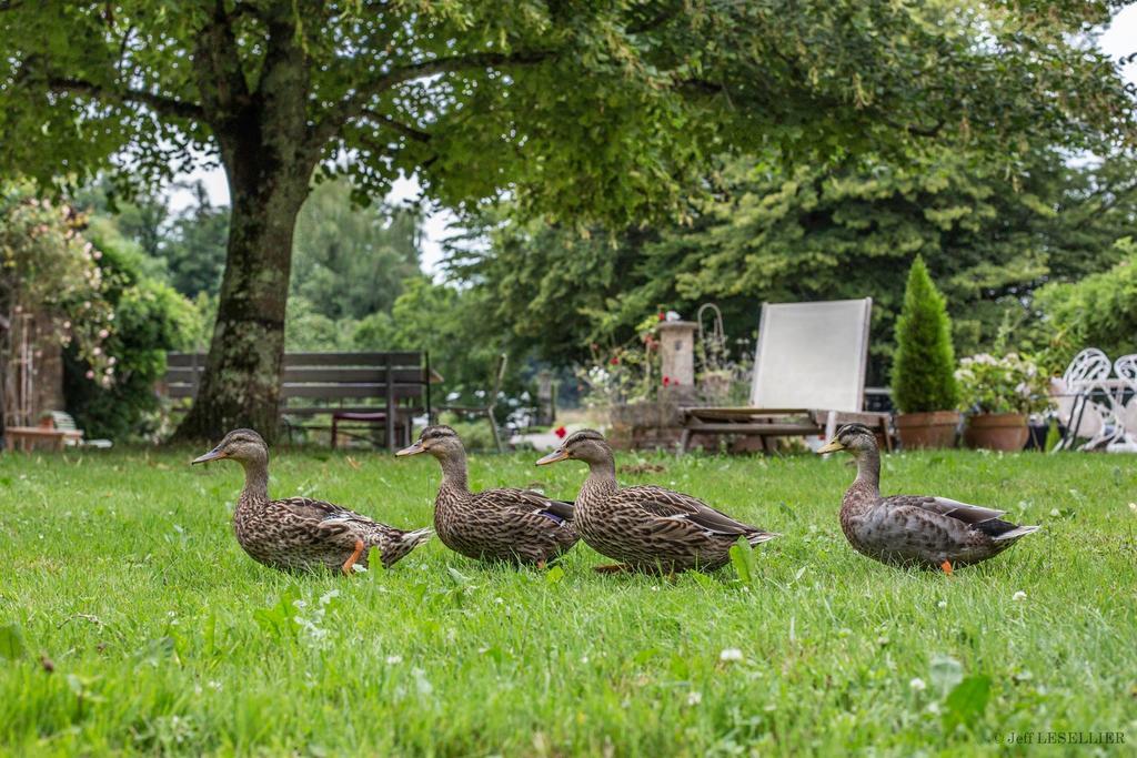Bed and Breakfast La Ferme De Marie Eugenie Bruailles Екстер'єр фото